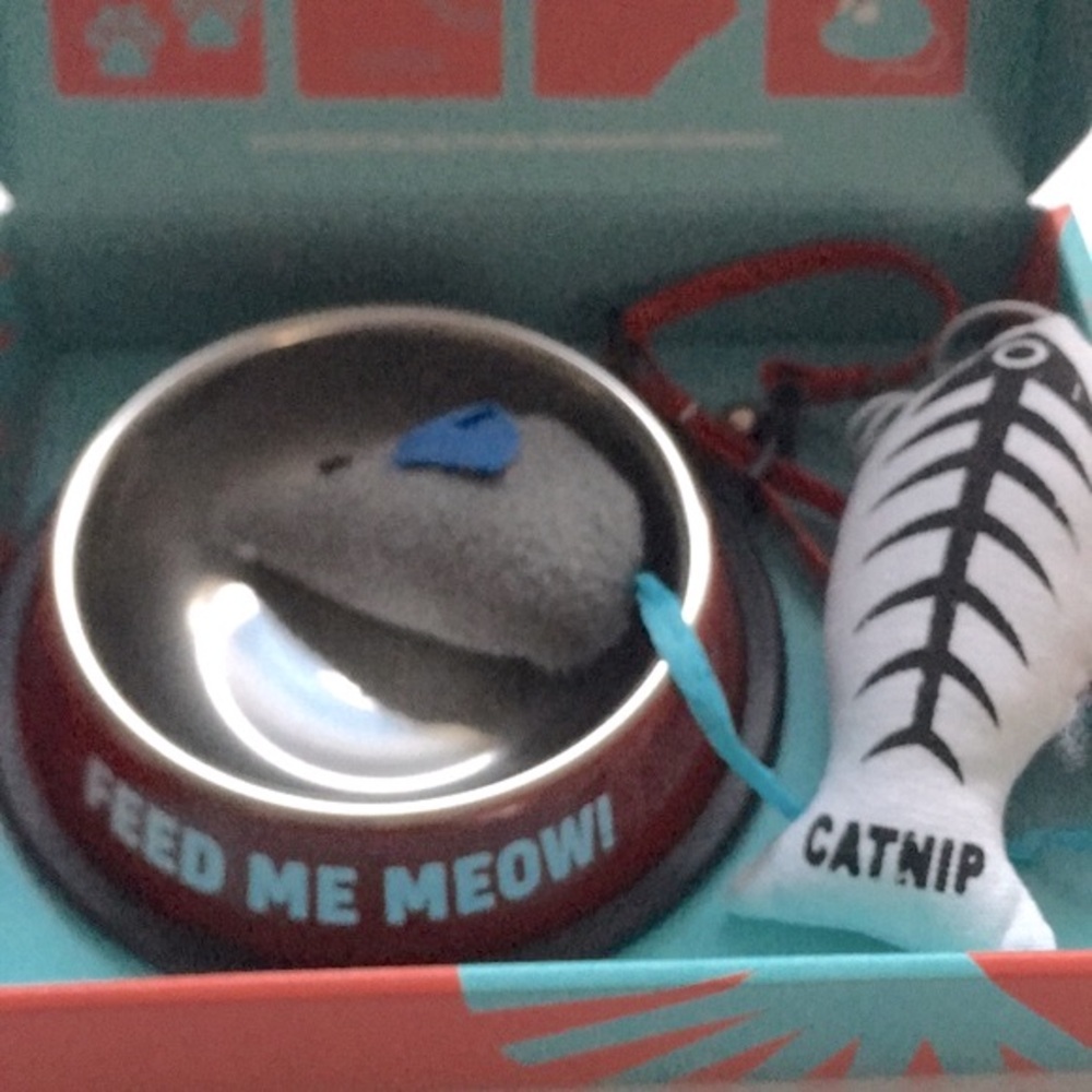 New Cat Kitten Pet Starter Boxed Gift Set Toys Dish Collar - Picture 4 of 9